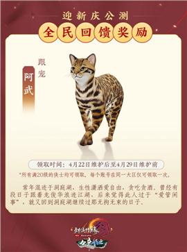 官网天龙八部私服